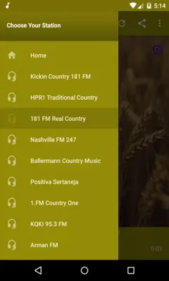 Country Music Forever Radio Free android App screenshot 0