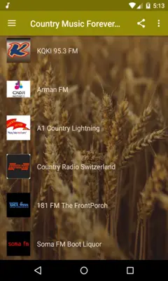 Country Music Forever Radio Free android App screenshot 2