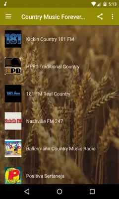 Country Music Forever Radio Free android App screenshot 3